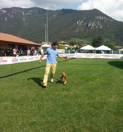 Expo Regionale E.N.C.I. Pove del Grappa (VI)