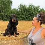 Cocker Spaniel Inglese Maschio - Asso